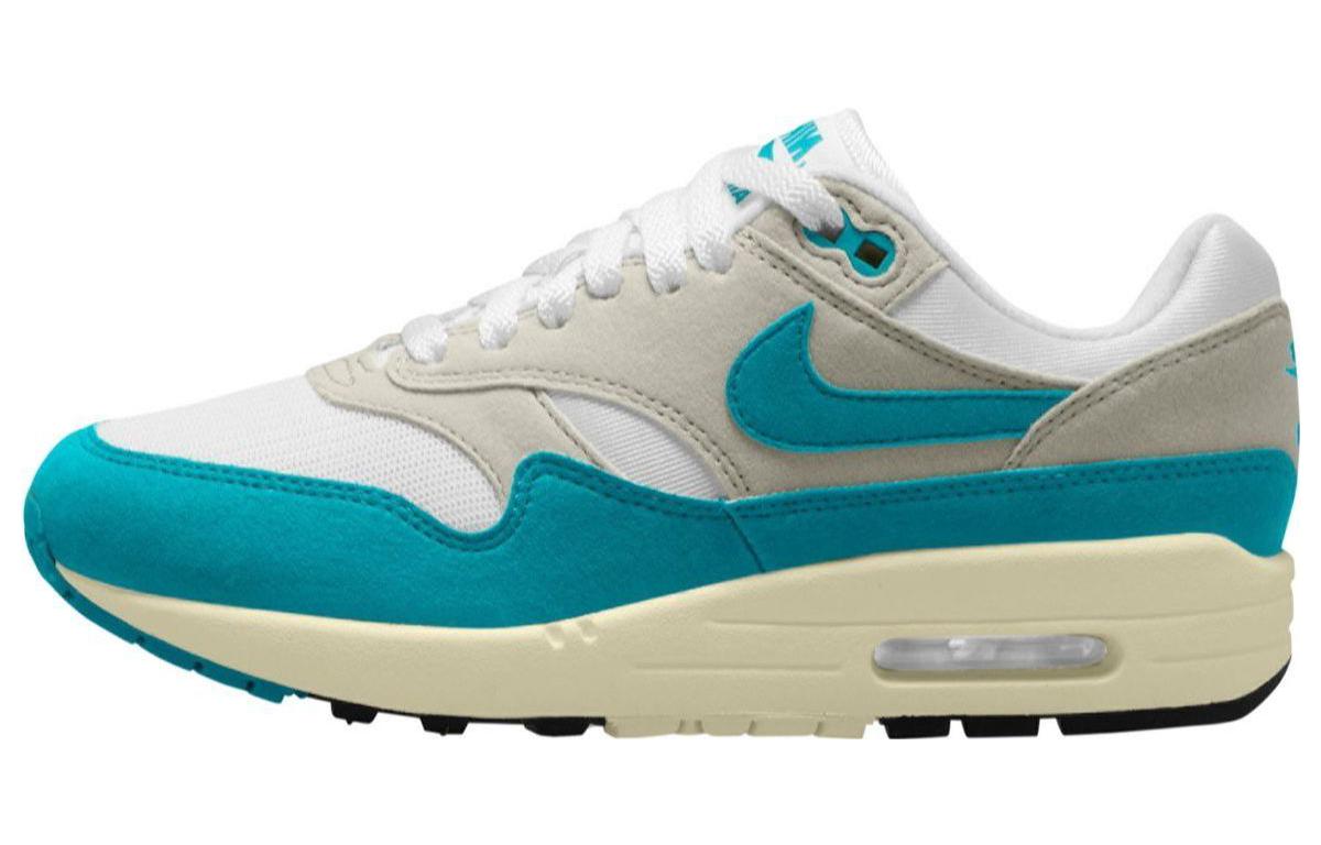 

Nike Air Max 1 Dusty Cactus Women s DZ2628-107 42