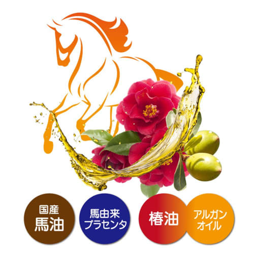 Rossi Moist Aid Oil Hair Treatment Horse Oil Treatment 270g (x 1)
