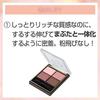 Excel Skinny Rich Shadow SR10 (Peony Brown) Palette Eyeshadow Makeup