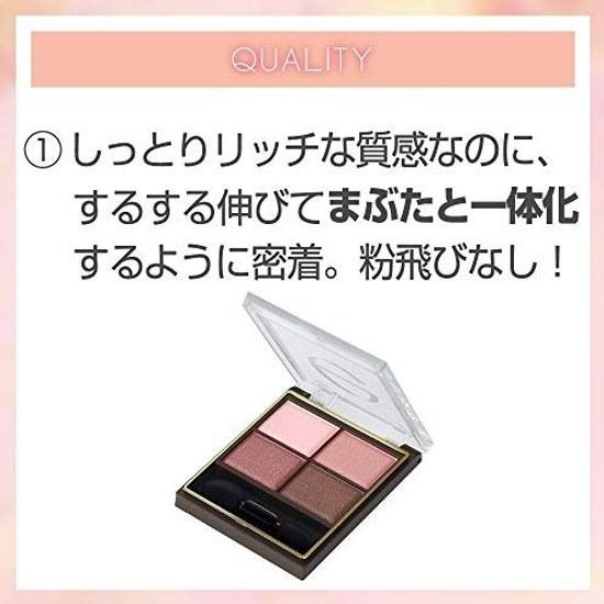 Excel Skinny Rich Shadow SR10 (Peony Brown) Palette Eyeshadow Makeup