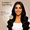 Khadi Natural Neem Leaf Organic Powder 75g Pack Of 1 For Skin & Hair Care, Scalp Cleansing & Brightening