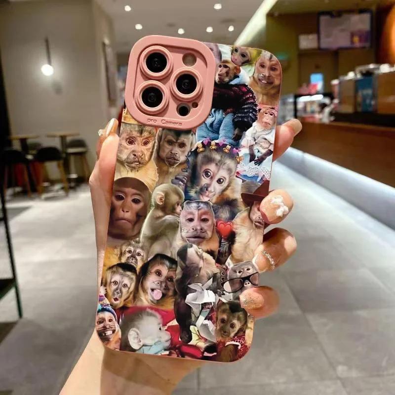 New Creative Monkey Pattern Phone Case For iPhone 16 Pro Max 15 14 13 12 11 XS X XR 7 8 Plus SE Shockproof Soft Cover