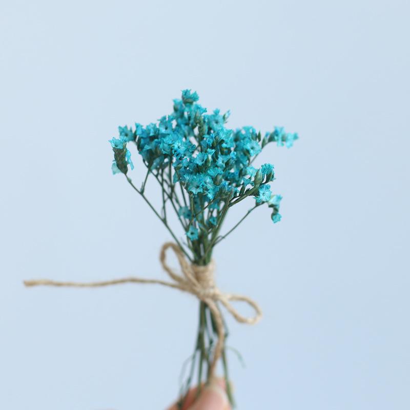 12cm Preserved Flower Boutonniere: Mini Bouquet for Bride, Bridesmaid, Wedding, Gift Box, Party Favor Decoration
