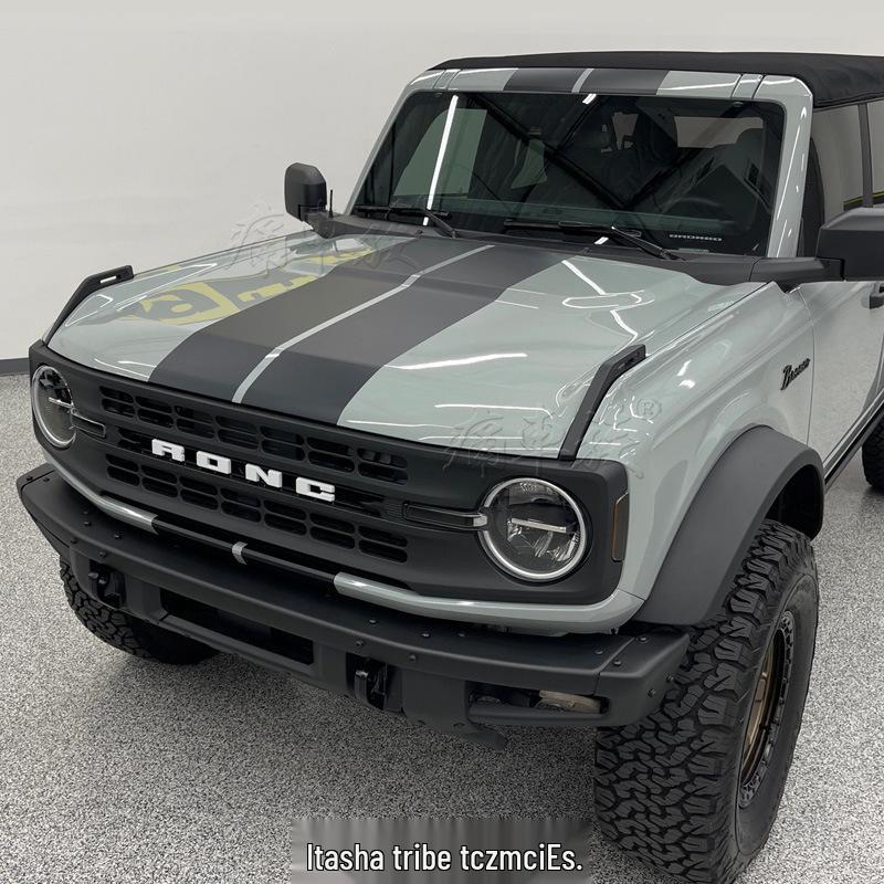 Bronco Wild Horse Car Hood & Pinstripe Stickers for Decoration & Modification