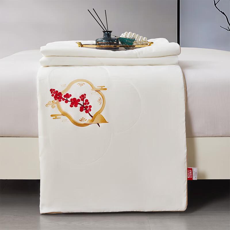 Hongdou Heimtextilien Reine Tussah-Seide Bettdecke