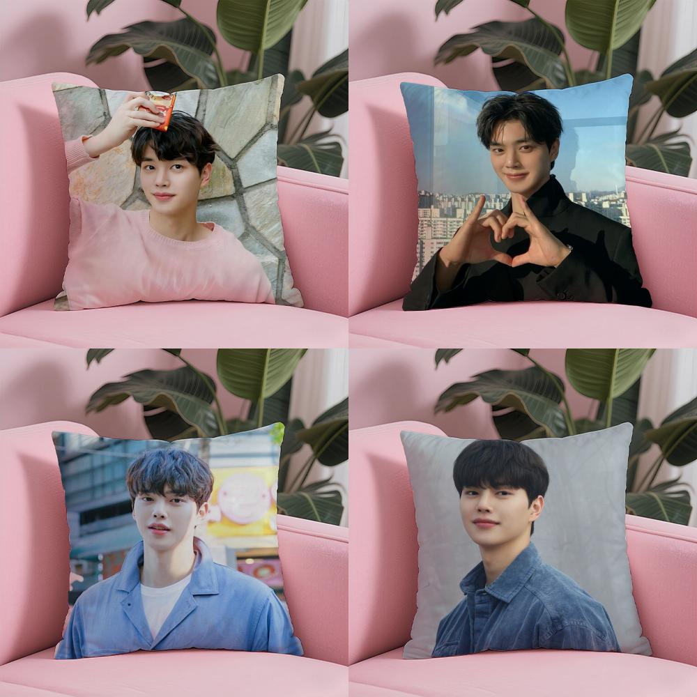 Korean S-Song K-Kang Pillow Case Soft Plush Fabric Double-Sided Printed Cushion Cover Warm Winter Sofa Pillow Case
