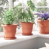 Flower Pots 6 Pcs Terracotta Red Ø 22 X 18 Cm Plastic