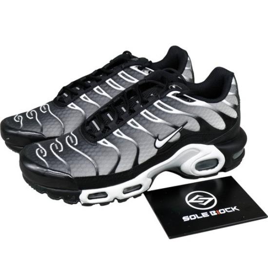 

Nike Air Max Plus Black Metallic Silver 2022 - DM0032-003 EU 39 різнокольоровий
