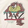 90s Made In Old Mexico Tasmanian Devil Short Sleeve Double-sided Printing T-shirt Men's Used