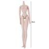 Movable Jointed Nude BJD Dolls 1/6 Doll Super Model Doll White Skin Nude Doll Toys  DIY Accessories