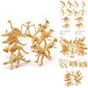 Captivating Pvc Dinosaur Skeleton Models Set Of 12 Realistic Figures For Interactive Learning And Imaginative Adventures