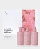 Amtree  Rose Fragrance Free Shopping Bag  Flora Perfume Body Care Gift Set Flower Rose Fragrance  Cleanser 2p+lotion 1p 
