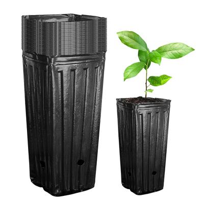 10 piezas de taza de cultivo de plantas de alta tasa de supervivencia antigrietas que mantiene la humedad de la pulpa de germinación de flores maceta de vivero