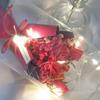 Red Carnation LED Mood Light Bouquet Parents' Day Teachers' Day Gift for Parents Flower Light