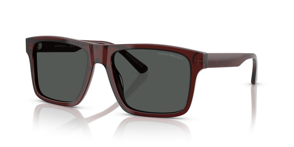 Sunglasses 0EA4232F TRANSPARENT BROWN 57 [Emporio Armani]