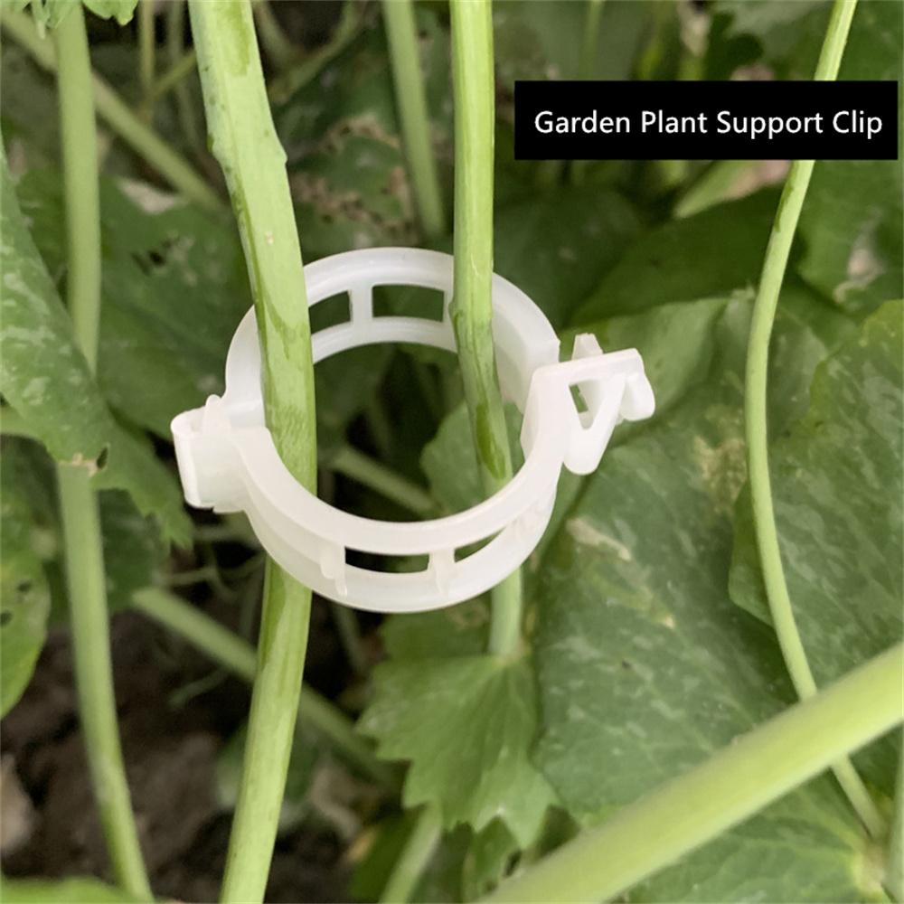 100Pcs Thicken Plastic Garden Plant Support Clips Tomato & Veggie Trellis Twine