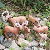 Deer Lion Raccoon Miniature Figurines Animals Models Simulation Animals Animals Action Figures