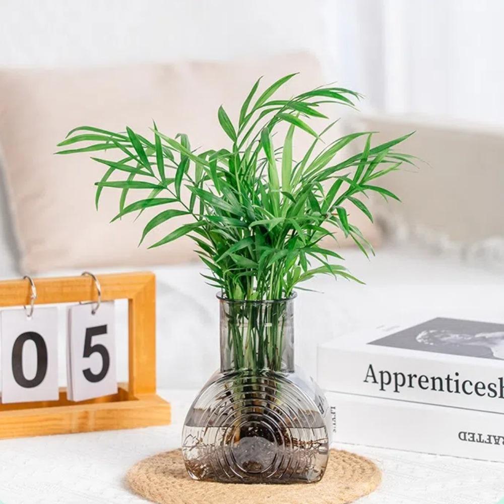 Transparent Hydroponic Plants Vase Imitation Glass Nordic Flowerpot Plastic Flower Bottle  Home