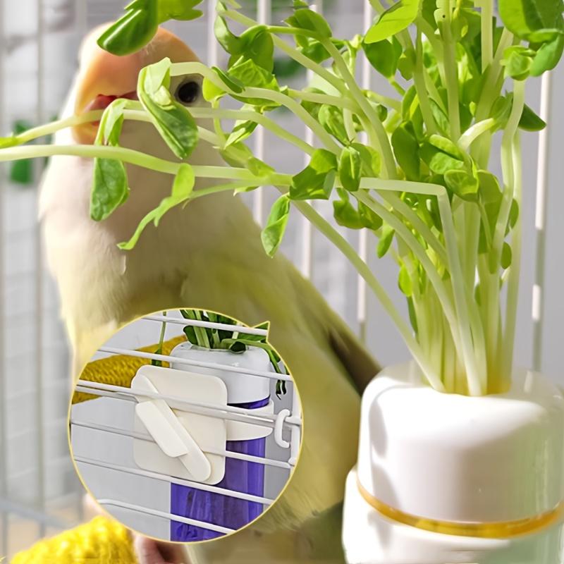Bird Parrot Feeder Cage Vegetable Holder Preservation Jar Cage Accessories Hanging Basket Container Toys Budgie Cage Supplies