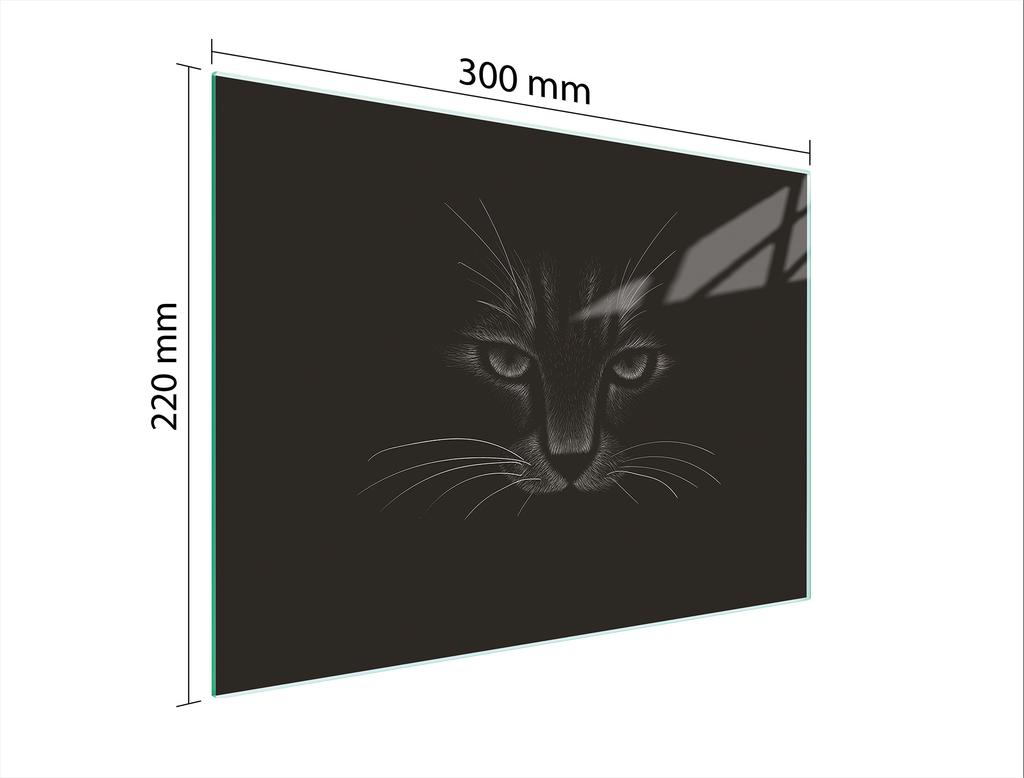 SZKLANA DESKA DO KROEJNIA 30x22 KOT