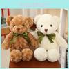 Süßer Plüsch-Teddybär mit luxuriösem Rosenvelour-Material für das perfekte Geburtstagsgeschenk für sie