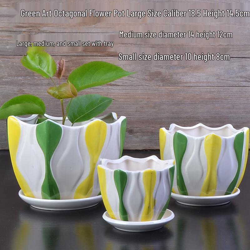 Ceramic Succulent Planter Set with Tray