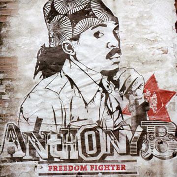 

CD ANTHONY B - Freedom Fighter IRIE053 Irievibrations 2012 Europe Reggae, Ska & Dub
