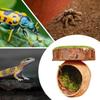 Mini Magnetic Spider Hide Cave Handmade Jumping Spider Enclosure Natural Habitat Decoration for Spider Lovers