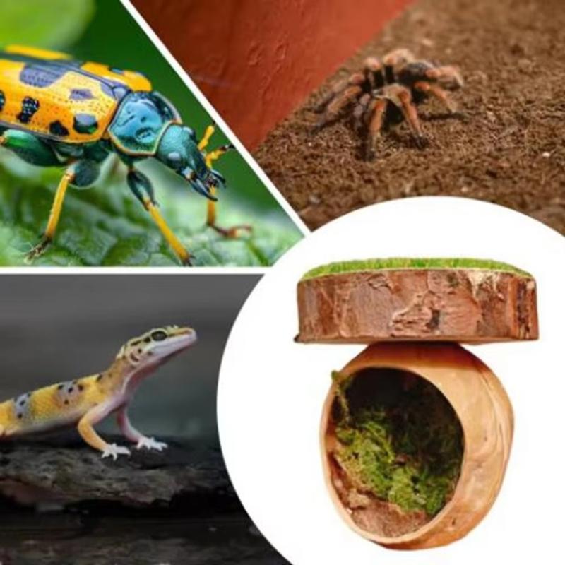Mini Magnetic Spider Hide Cave Handmade Jumping Spider Enclosure Natural Habitat Decoration for Spider Lovers