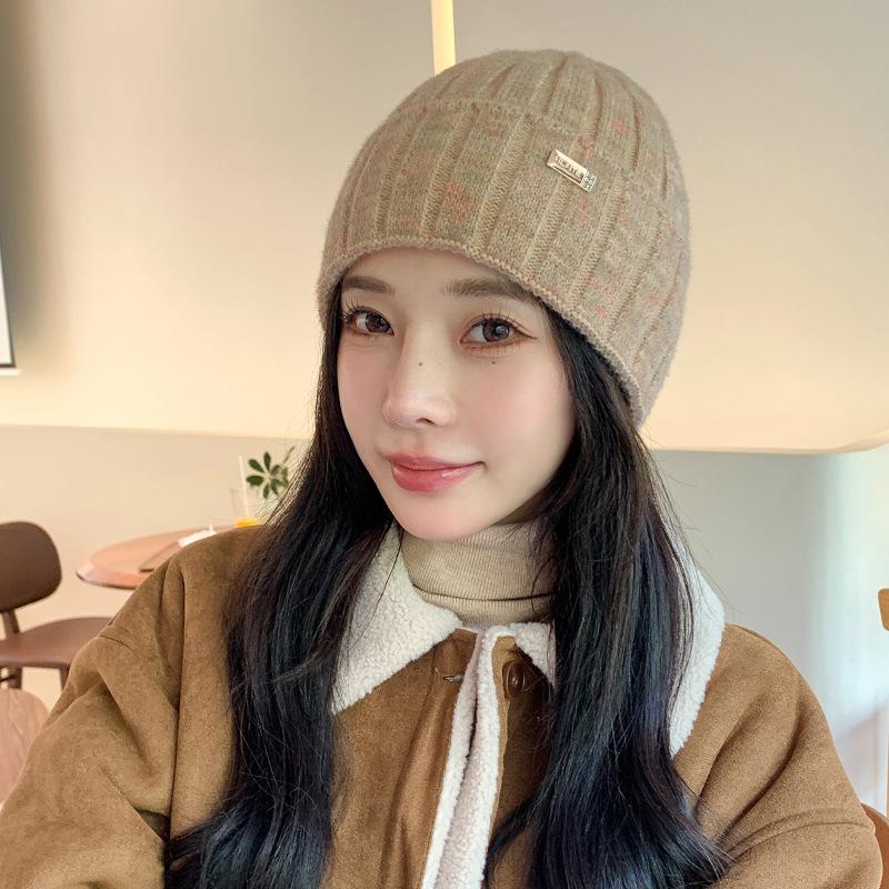 Korean Version of Autumn and Winter New Hat for Women Fashion Color Knitted Wool Hat for Winter Warmth Student Pullover Hat Trend