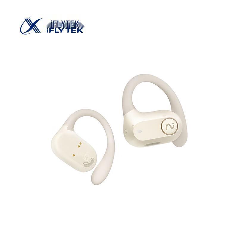 iFLYTEK AI Translation & Conference Earbuds