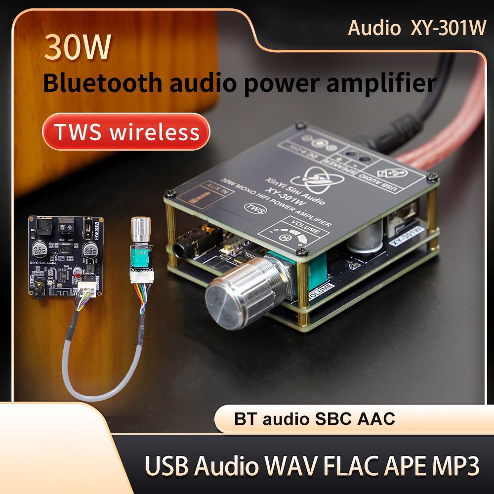 XY-301W Mono 30W Bluetooth Digital Audio Amplifier Board TWS True Wireless Stereo Audio for Speakers with DC 9-24V Support App