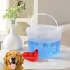 Automatic Water Feeder Water Dispenser For Small To Large Breeds Providing Continuous Watering of Day And Night