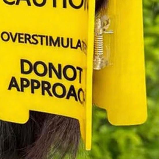 Yousheng 1/2/3Pcs Overstimulated Warning Hair Claw Yellow Caution Sign Hair Clip Thick Hair Strong Hold Hair Accessories