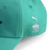 Puma Kids Paw Patrol Bb Cap Jr Sand Vbrt Grn 026869