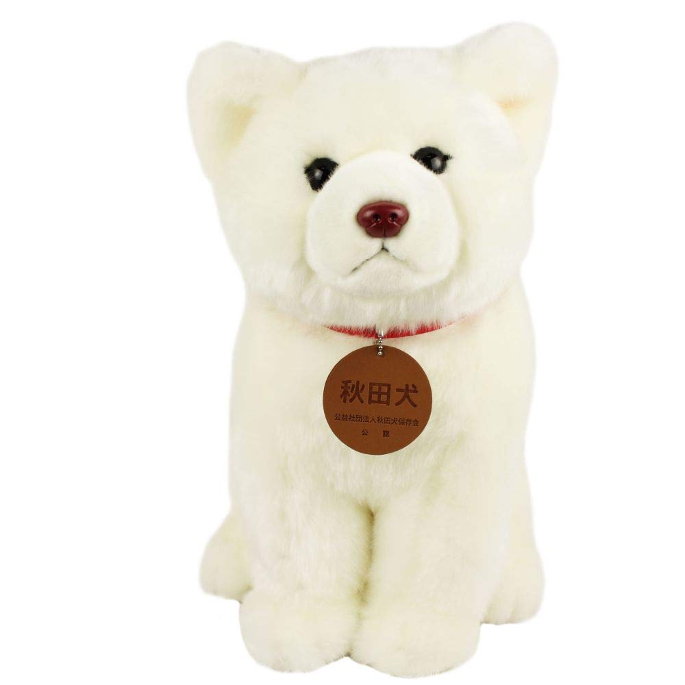 Cute Sales Akita Inu White Hair L Pink Nose D0023 H37 x W20 x D40cm