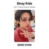 Stray Kids DO IT Blue Dream Media Official Photocard