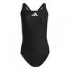 Womens/Ladies Logo One Piece Swimsuit