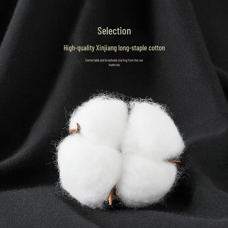Men's Antibacterial Deodorant Cotton Socks (10 Pairs)