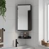 VidaXL Black Corner Mirrored Bathroom Cabinet 30x24x60 Cm, Bathroom Cabinet, Vanity Unit with Mirror, Furniture 357979