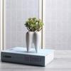 Cactus Plants Garden Home Decor Living Room Tabletop Ornaments Flower Pot Plant Pot Plant Container