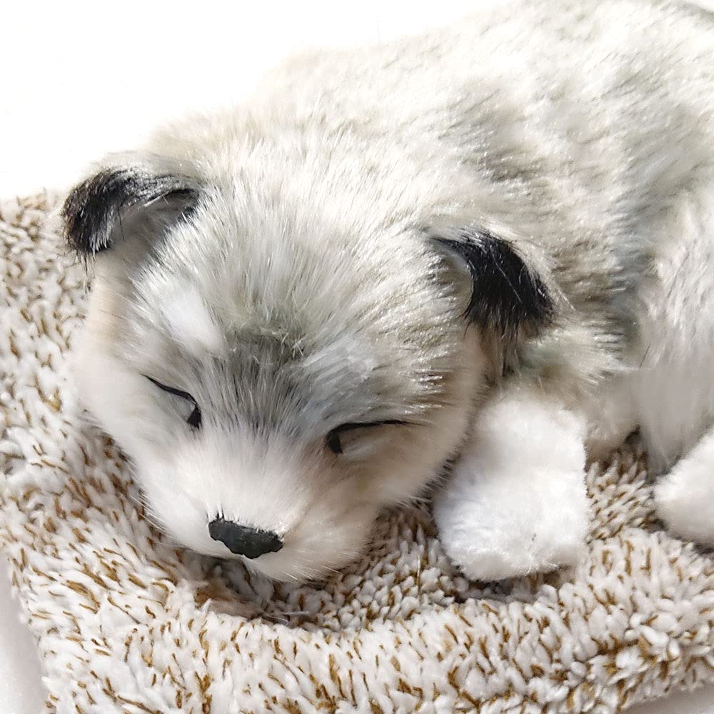TATOTTE Realistic Plush Dog Figurine with a Cute Sleeping Face, Activated Charcoal Included, Soothing Decor (Husky)