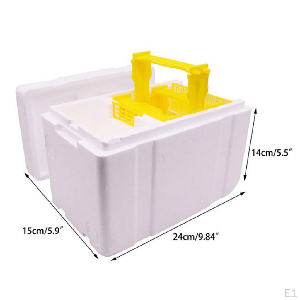 Bee Beekeeping Pollination Boxes Foam Plastic Tools