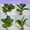Ficus Simulated Elastica Plants Hotel Parks Artificial Landscapes Room Ornament