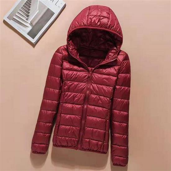 Women's Short Lightweight Padded Jacket, Korean Style, Slim-Fit, Warm Down Cotton Coat for Winter 2023