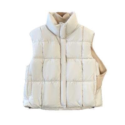 Cotton Vest for Women's Outer Wear, New Korean Style, Loose Stand-up Collar, Stacked Waistcoat, Short Style, Autumn and Winter