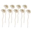 Fireless Aroma Dried Flower Cane Essential Oil Diffuser Aromatherapy Sticks Diffuser Sticks Flower Stick Rattan Oil Reed