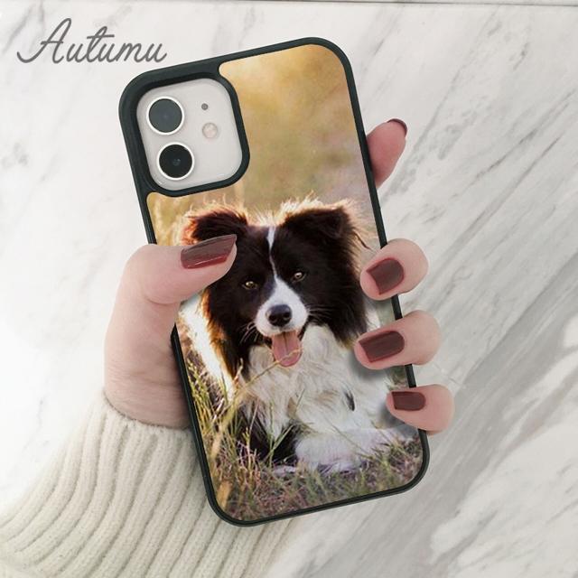Border Collie Hund Telefon Fall für iPhone 11 12 13 14 Pro Max mini X XR XS SE 2020 5s 6S 7 8 Plus Samsung Galaxy S21 S22 shell