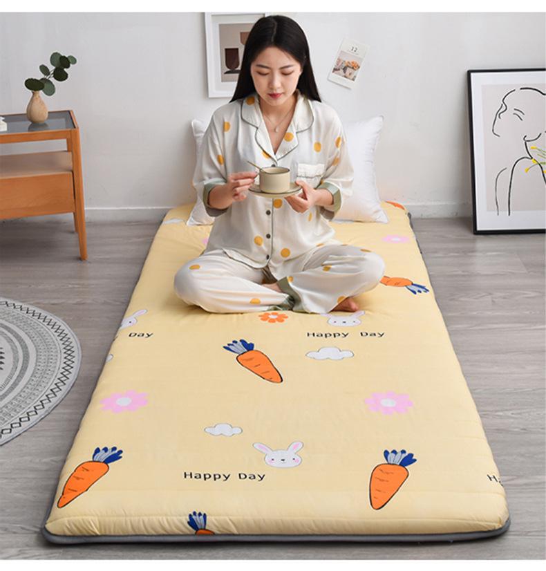 7L Winter Mattress Topper - Dorm, Student, or Kids' Single Bed Mat