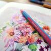 Schneider Slider Edge Pastel Ballpoint Pen 8-Color Set Extra Broad XB Tip SEP152289